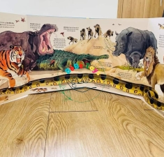 BIG BOOK- CUỐN SÁCH KHỔNG LỒ
