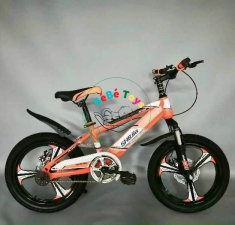 XE ĐẠP TRẺ EM SHBJIA CAM NAM 20 INCH