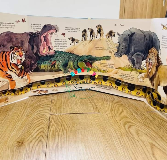 BIG BOOK- CUỐN SÁCH KHỔNG LỒ