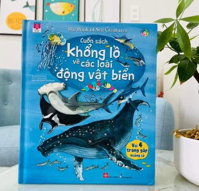 BIG BOOK- CUỐN SÁCH KHỔNG LỒ