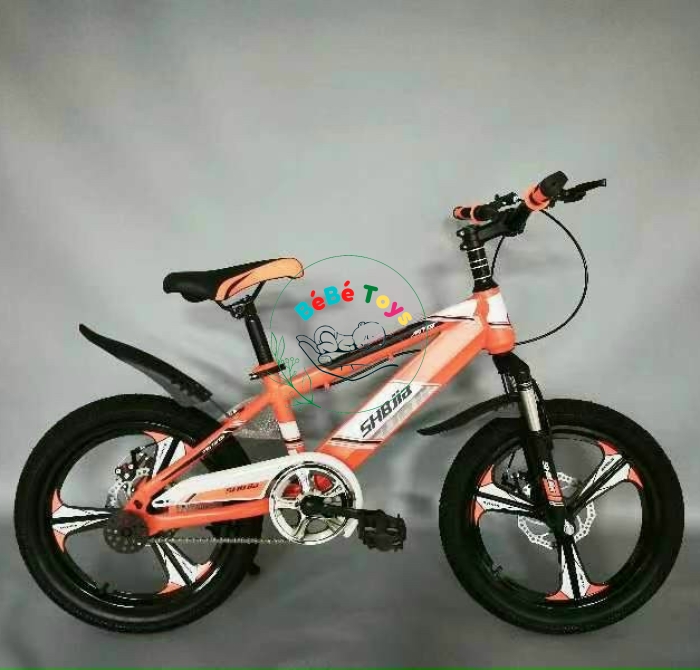 XE ĐẠP TRẺ EM SHBJIA CAM NAM 20 INCH